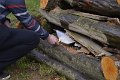 Vatra2018 54